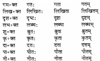 RBSE Solutions for Class 8 Sanskrit रञ्जिनी Chapter 13