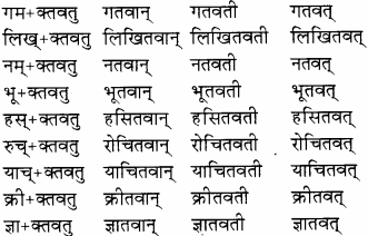 RBSE Solutions for Class 8 Sanskrit रञ्जिनी Chapter 13