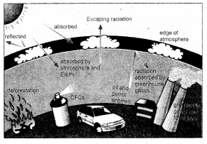 Class 12 english literature picture