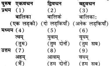 RBSE Class 7 Sanskrit व्याकरण अनुवाद प्रकरण 2
