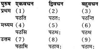 RBSE Class 7 Sanskrit व्याकरण अनुवाद प्रकरण 3