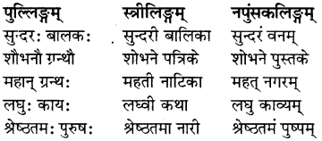 RBSE Class 7 Sanskrit व्याकरण विशेषण प्रकरणम् 1