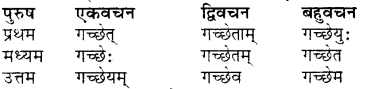 RBSE Class 7 Sanskrit व्याकरण शब्द रूप प्रकरणम् 100