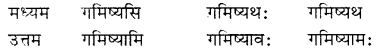 RBSE Class 7 Sanskrit व्याकरण शब्द रूप प्रकरणम् 47