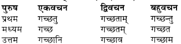 RBSE Class 7 Sanskrit व्याकरण शब्द रूप प्रकरणम् 48