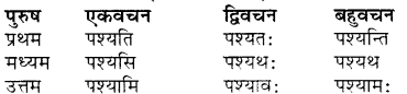 RBSE Class 7 Sanskrit व्याकरण शब्द रूप प्रकरणम् 50