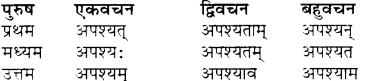 RBSE Class 7 Sanskrit व्याकरण शब्द रूप प्रकरणम् 51