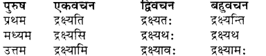 RBSE Class 7 Sanskrit व्याकरण शब्द रूप प्रकरणम् 52