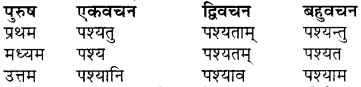 RBSE Class 7 Sanskrit व्याकरण शब्द रूप प्रकरणम् 53