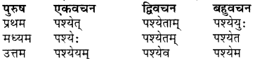 RBSE Class 7 Sanskrit व्याकरण शब्द रूप प्रकरणम् 54