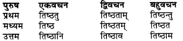 RBSE Class 7 Sanskrit व्याकरण शब्द रूप प्रकरणम् 62