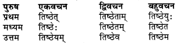 RBSE Class 7 Sanskrit व्याकरण शब्द रूप प्रकरणम् 63