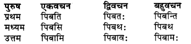RBSE Class 7 Sanskrit व्याकरण शब्द रूप प्रकरणम् 64