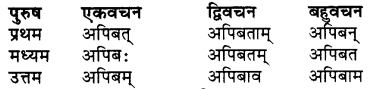 RBSE Class 7 Sanskrit व्याकरण शब्द रूप प्रकरणम् 65