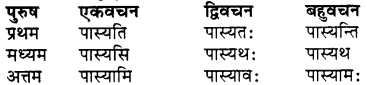 RBSE Class 7 Sanskrit व्याकरण शब्द रूप प्रकरणम् 66