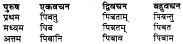 RBSE Class 7 Sanskrit व्याकरण शब्द रूप प्रकरणम् 67
