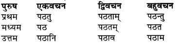 RBSE Class 7 Sanskrit व्याकरण शब्द रूप प्रकरणम् 73