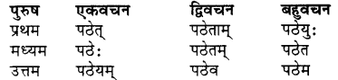 RBSE Class 7 Sanskrit व्याकरण शब्द रूप प्रकरणम् 74