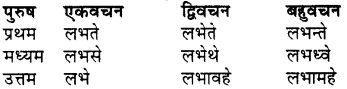 RBSE Class 7 Sanskrit व्याकरण शब्द रूप प्रकरणम् 80