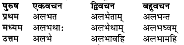 RBSE Class 7 Sanskrit व्याकरण शब्द रूप प्रकरणम् 81