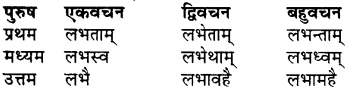 RBSE Class 7 Sanskrit व्याकरण शब्द रूप प्रकरणम् 83