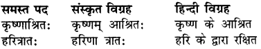RBSE Class 7 Sanskrit व्याकरण समास प्रकरण 2