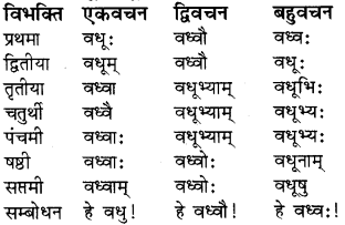 RBSE Class 8 Sanskrit व्याकरण संज्ञा शब्द 1