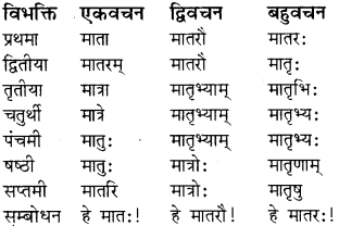 RBSE Class 8 Sanskrit व्याकरण संज्ञा शब्द 15