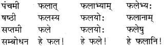 RBSE Class 8 Sanskrit व्याकरण संज्ञा शब्द 17