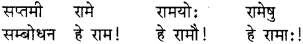 RBSE Class 8 Sanskrit व्याकरण संज्ञा शब्द 5