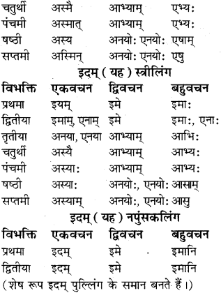 RBSE Class 8 Sanskrit व्याकरण सर्वनाम शब्द 10