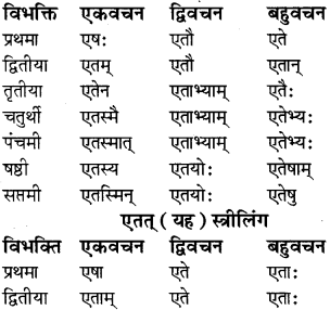 RBSE Class 8 Sanskrit व्याकरण सर्वनाम शब्द 2