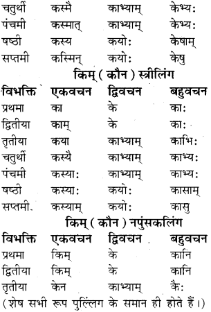 RBSE Class 8 Sanskrit व्याकरण सर्वनाम शब्द 6