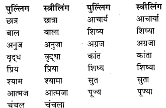 RBSE Class 9 Hindi व्याकरण लिंग 1