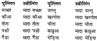 RBSE Class 9 Hindi व्याकरण लिंग 12