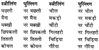 RBSE Class 9 Hindi व्याकरण लिंग 13