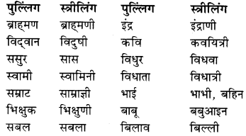 RBSE Class 9 Hindi व्याकरण लिंग 14
