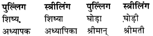 RBSE Class 9 Hindi व्याकरण लिंग 15