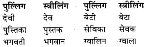 RBSE Class 9 Hindi व्याकरण लिंग 16