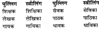 RBSE Class 9 Hindi व्याकरण लिंग 8