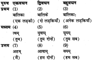 RBSE Class 9 Sanskrit रचना अनुवाद प्रकरणम् 2