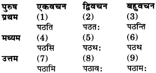 RBSE Class 9 Sanskrit रचना अनुवाद प्रकरणम् 3