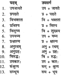 RBSE Class 9 Sanskrit व्याकरण उपसर्ग-प्रकरणम् 10