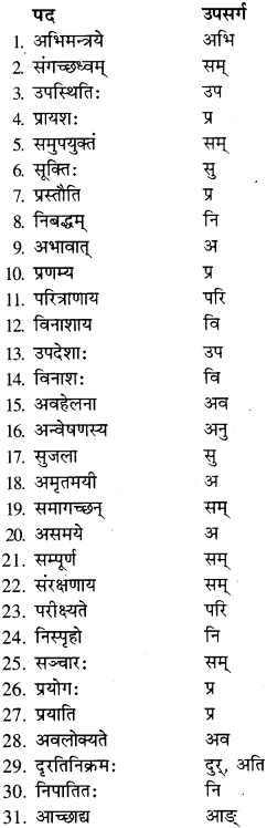 RBSE Class 9 Sanskrit व्याकरण उपसर्ग-प्रकरणम् 8
