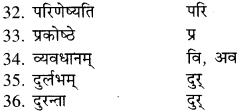 RBSE Class 9 Sanskrit व्याकरण उपसर्ग-प्रकरणम् 9