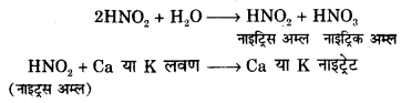 RBSE Solutions for Class 12 Biology Chapter 10 Q.2.2