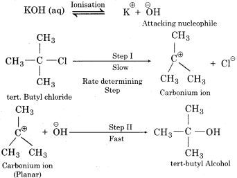 RBSE Solutions for Class 12 Chemistry Chapter 10 Halogen Derivatives long 4 (v) mechanism