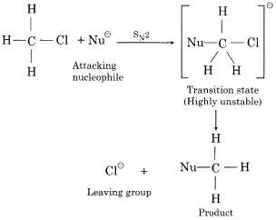 RBSE Solutions for Class 12 Chemistry Chapter 10 Halogen Derivatives long 4b (vii) 2