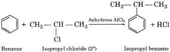 RBSE Solutions for Class 12 Chemistry Chapter 10 Halogen Derivatives long 7 (v)
