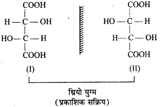 RBSE Solutions for Class 12 Chemistry Chapter 16 त्रिविम रसायन image 25